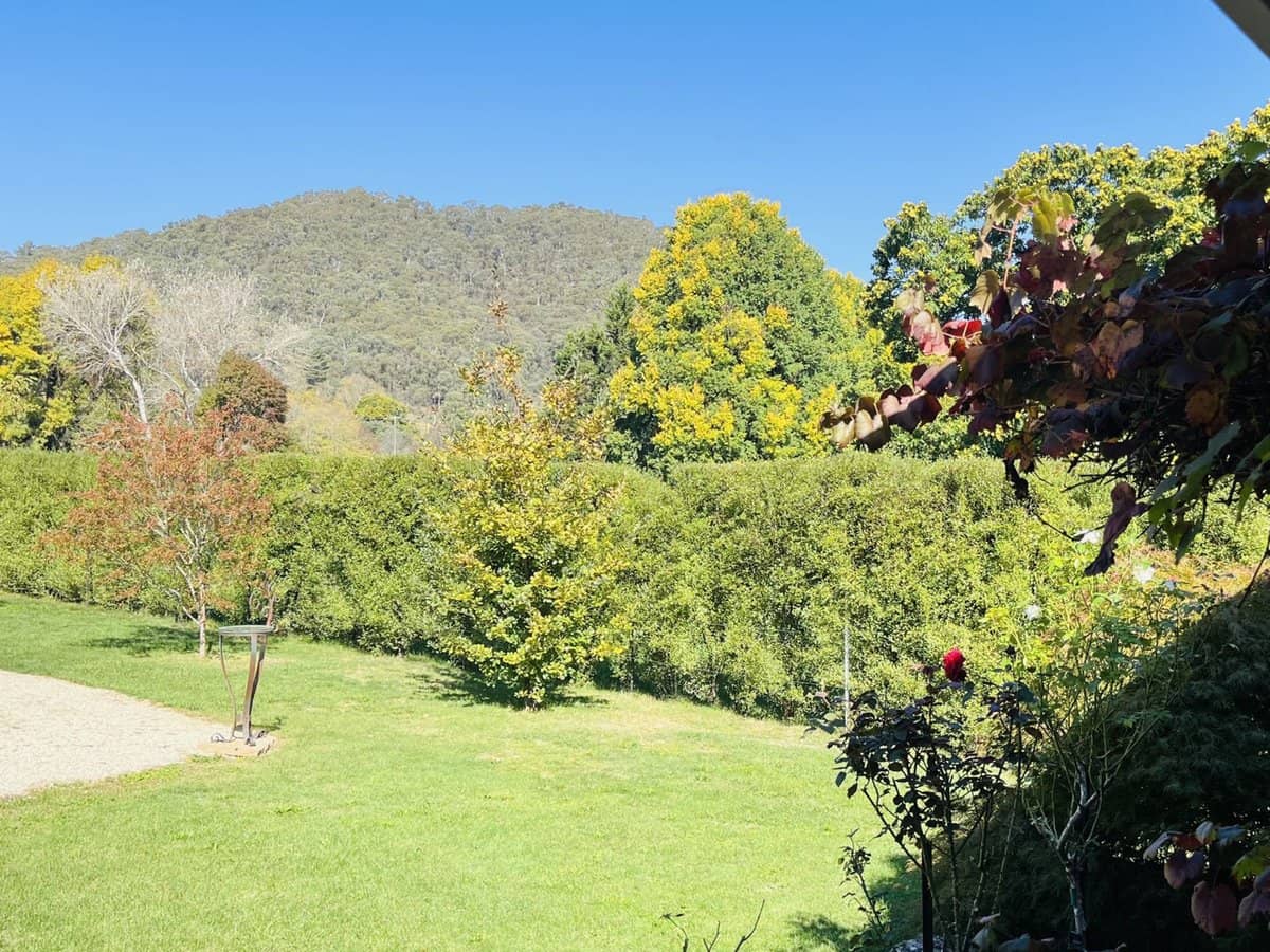 586 Morses Creek Road, Wandiligong - Thumbnail 13