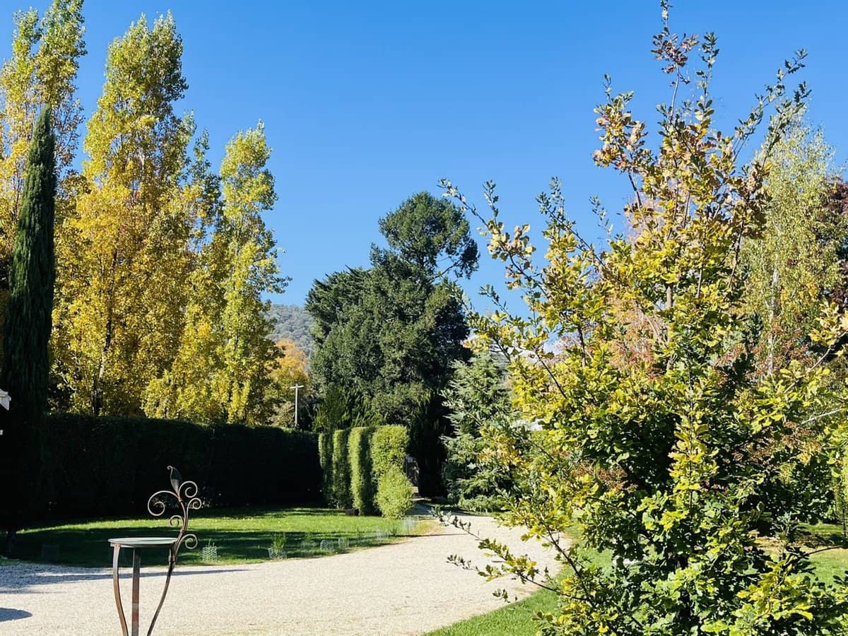 586 Morses Creek Road, Wandiligong - Thumbnail 14