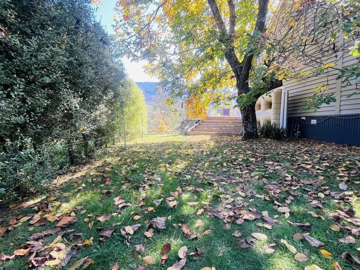 586 Morses Creek Road, Wandiligong - Thumbnail 16