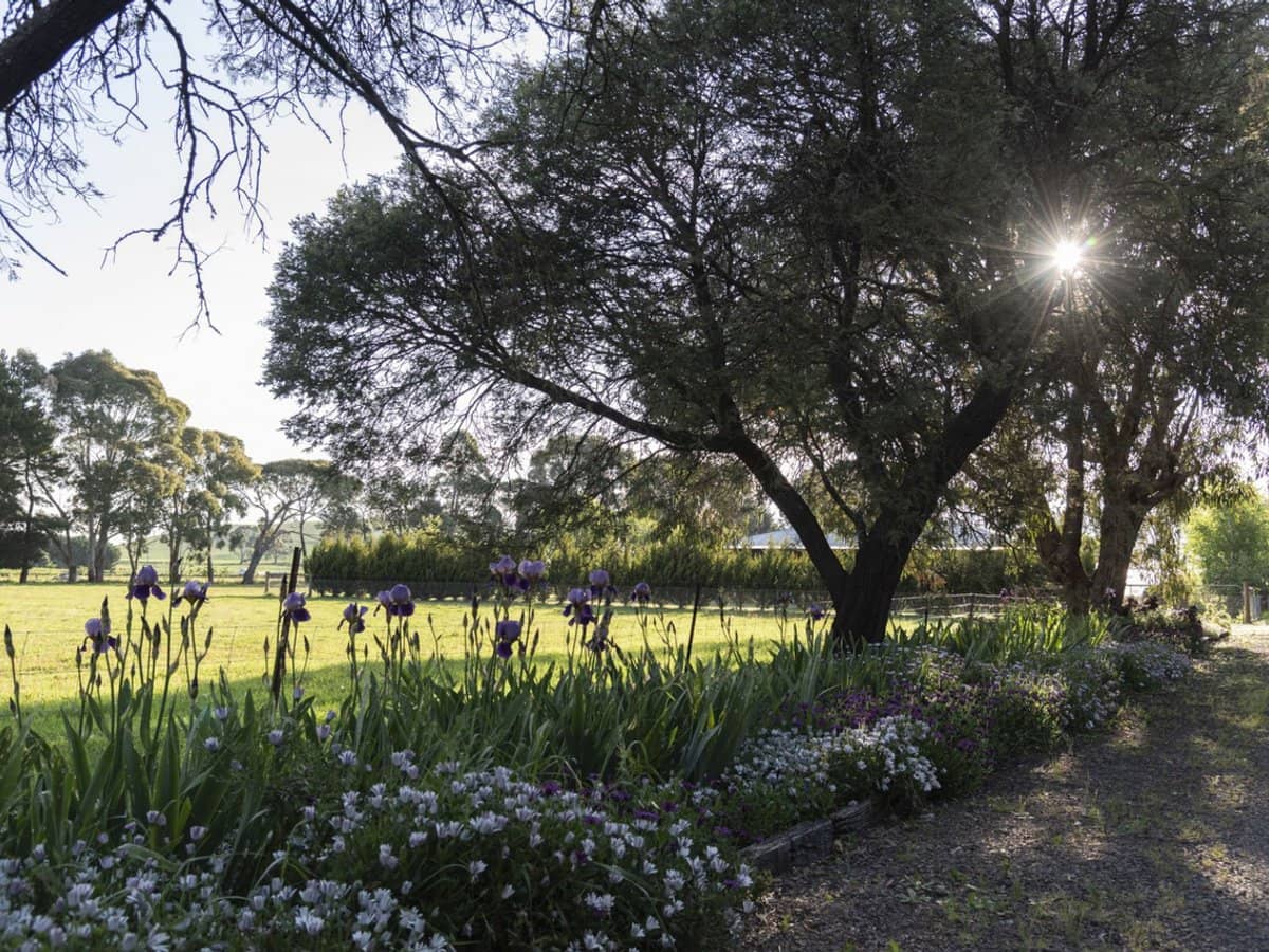 25 McMahons Road, Glenlyon - Thumbnail 19