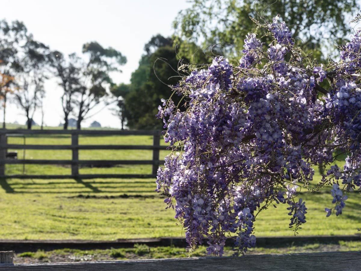 25 McMahons Road, Glenlyon - Thumbnail 21