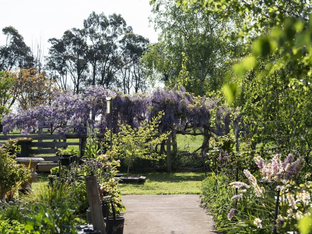 25 McMahons Road, Glenlyon - Thumbnail 22