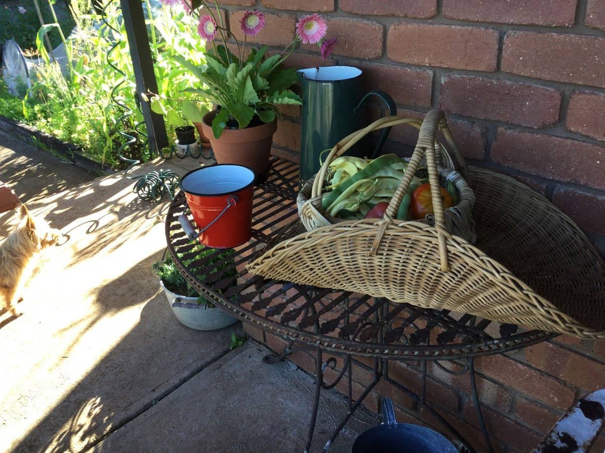 25 McMahons Road, Glenlyon - Thumbnail 24