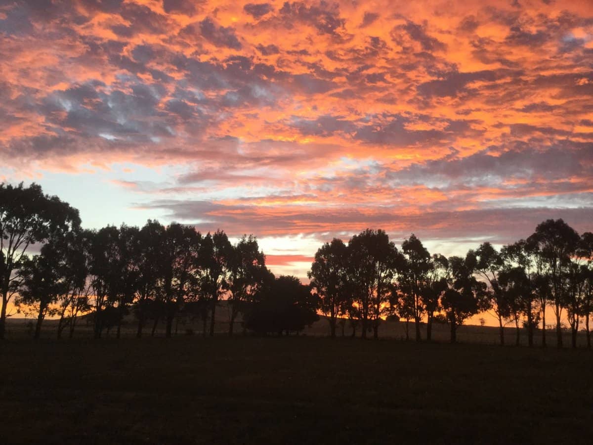 25 McMahons Road, Glenlyon - Thumbnail 25