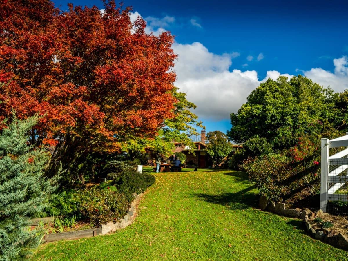 224 Wallaroo Range Road, Willsons Downfall - Thumbnail 4