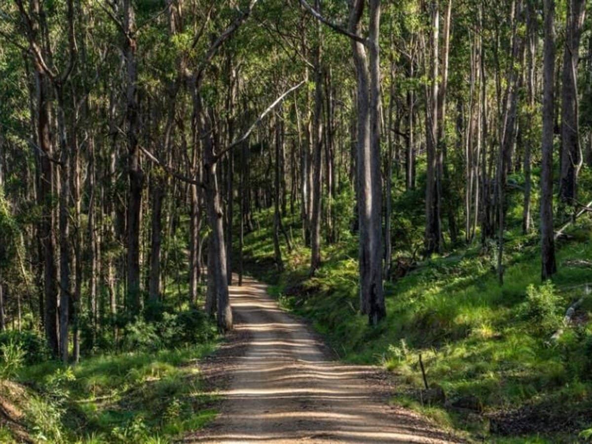 224 Wallaroo Range Road, Willsons Downfall - Thumbnail 5