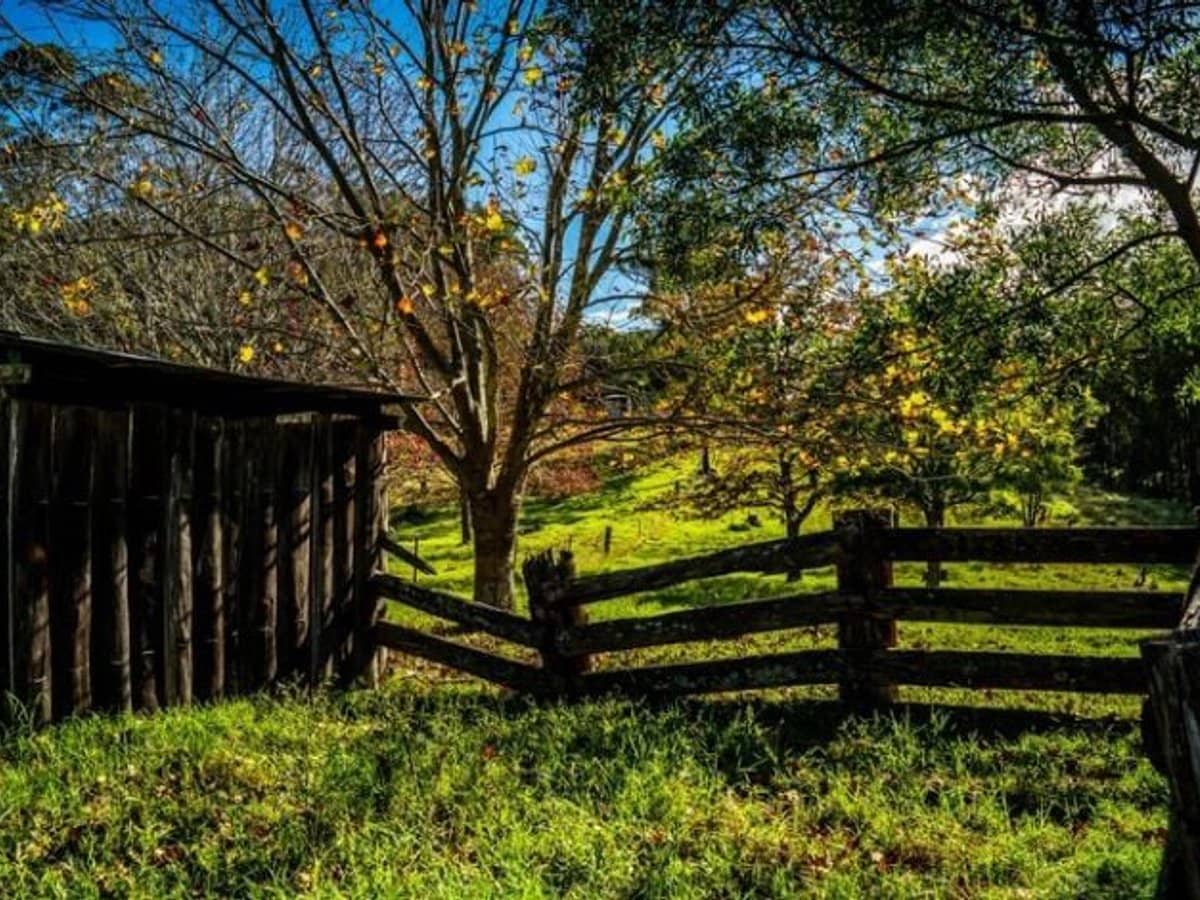 224 Wallaroo Range Road, Willsons Downfall - Thumbnail 16