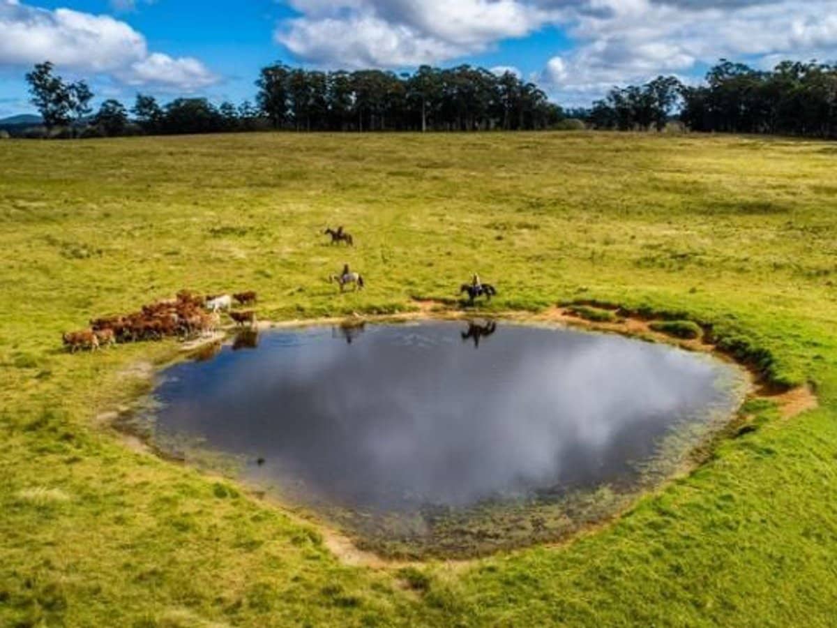 224 Wallaroo Range Road, Willsons Downfall - Thumbnail 22