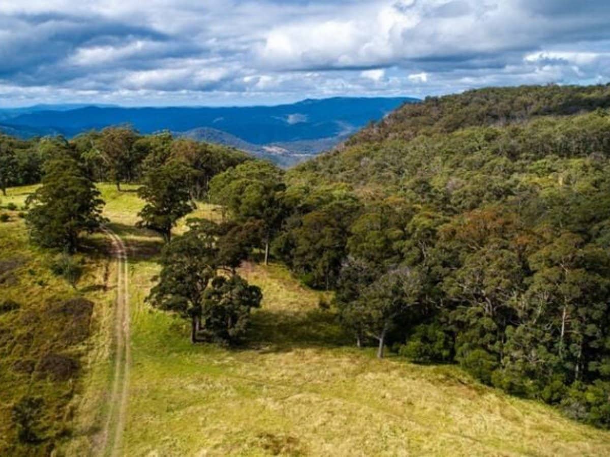 224 Wallaroo Range Road, Willsons Downfall - Thumbnail 24