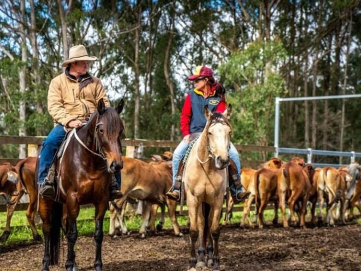 224 Wallaroo Range Road, Willsons Downfall - Thumbnail 26