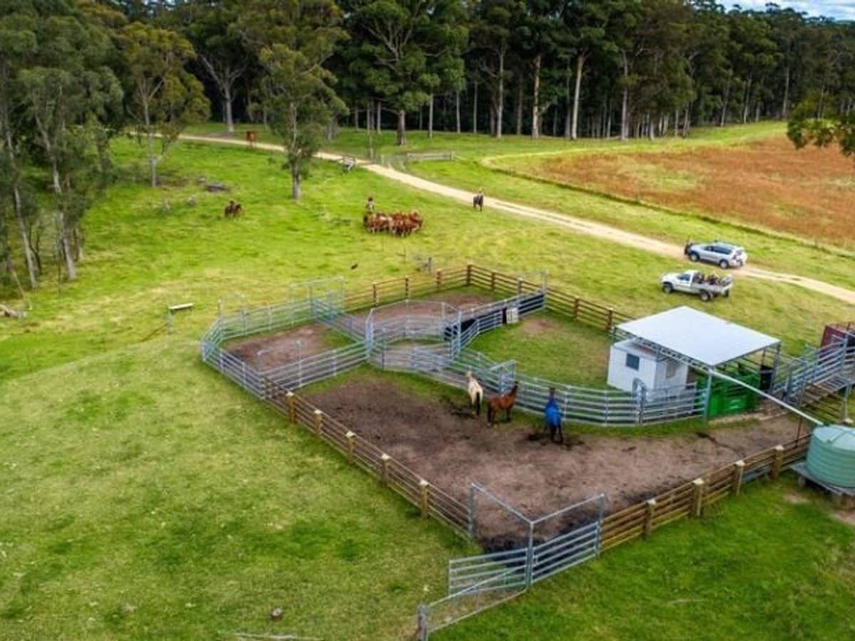 224 Wallaroo Range Road, Willsons Downfall - Thumbnail 29