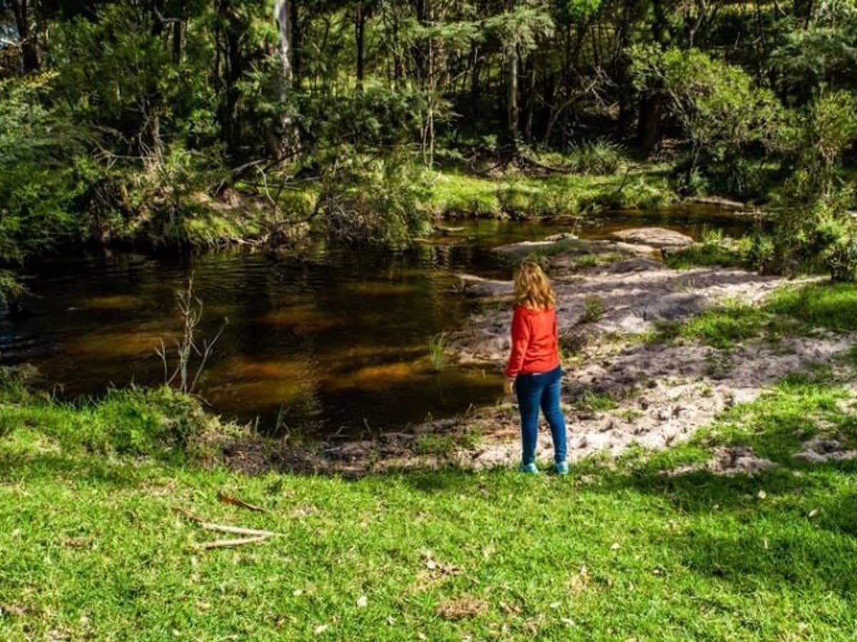 224 Wallaroo Range Road, Willsons Downfall - Thumbnail 30