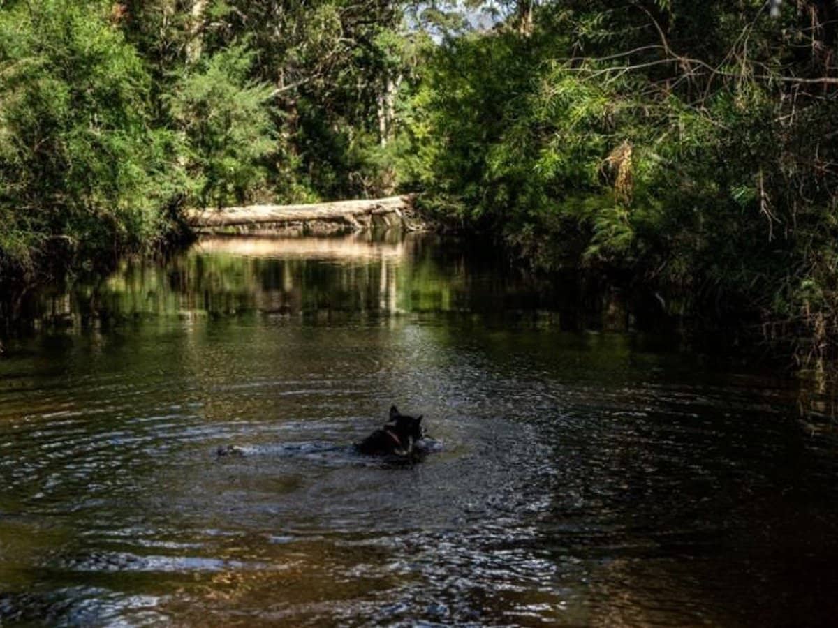 224 Wallaroo Range Road, Willsons Downfall - Thumbnail 31