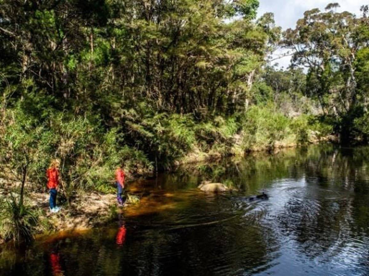 224 Wallaroo Range Road, Willsons Downfall - Thumbnail 32