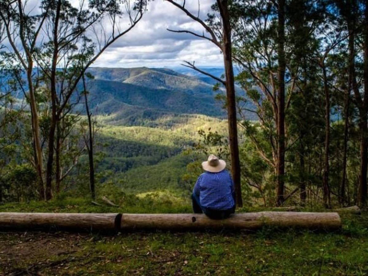 224 Wallaroo Range Road, Willsons Downfall - Thumbnail 34