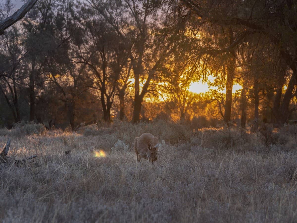 189 Coyles Road, Wodonga - Thumbnail 14