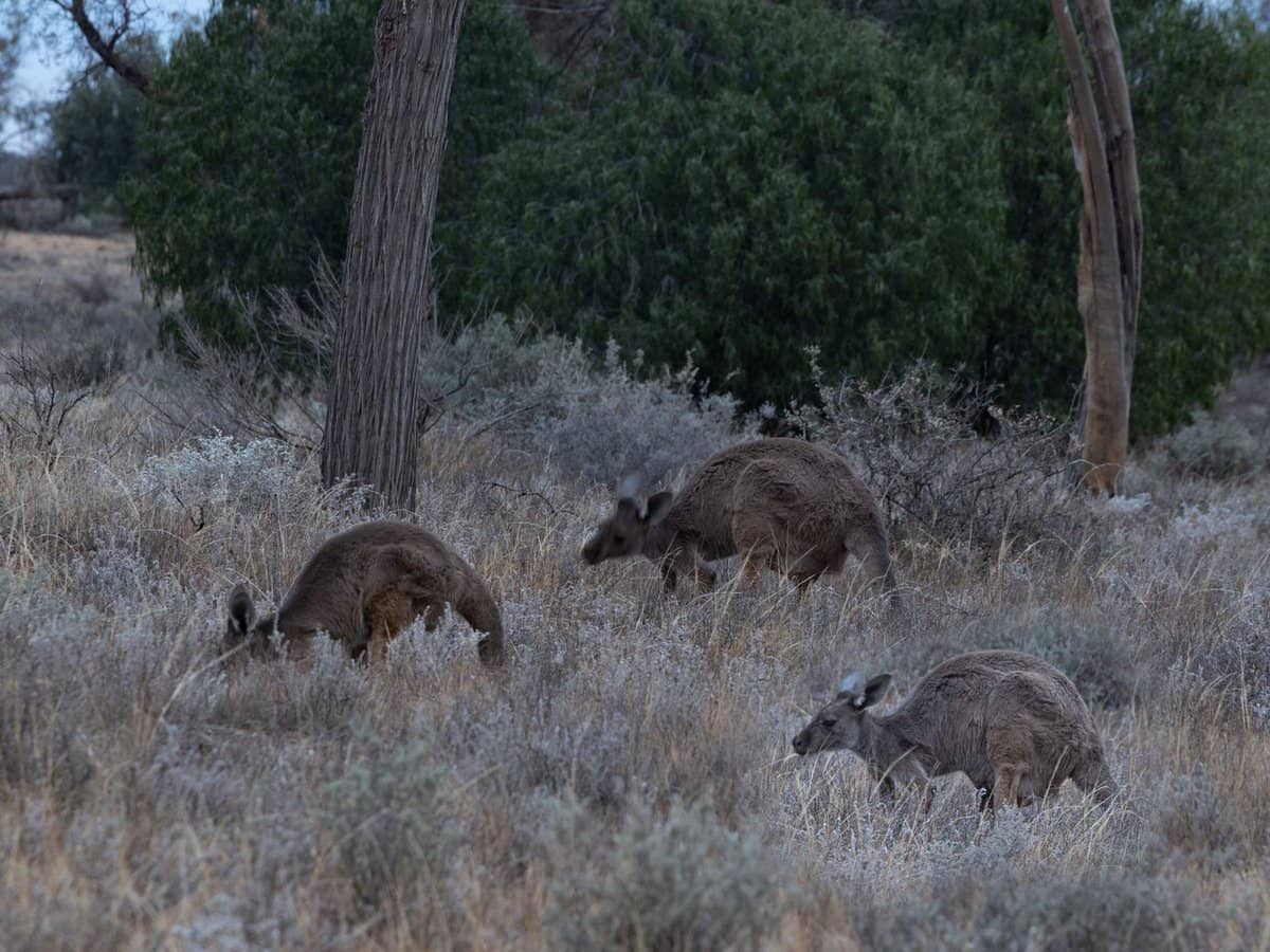 189 Coyles Road, Wodonga - Thumbnail 16