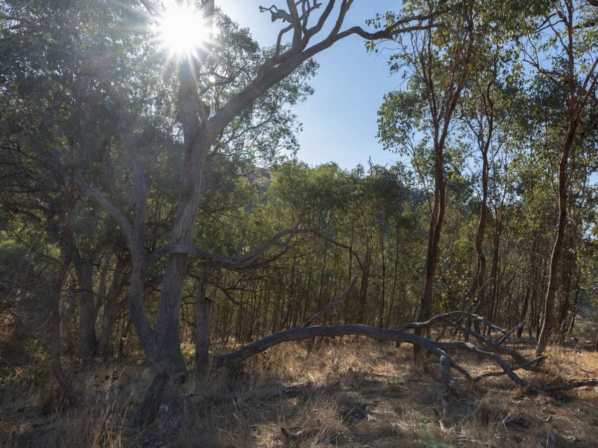 189 Coyles Road, Wodonga - Thumbnail 30