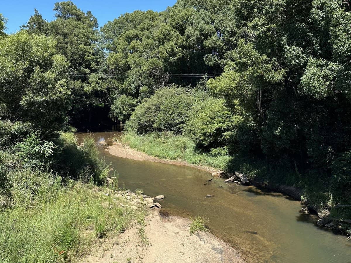 2329 Orara Way, Glenreagh - Thumbnail 20