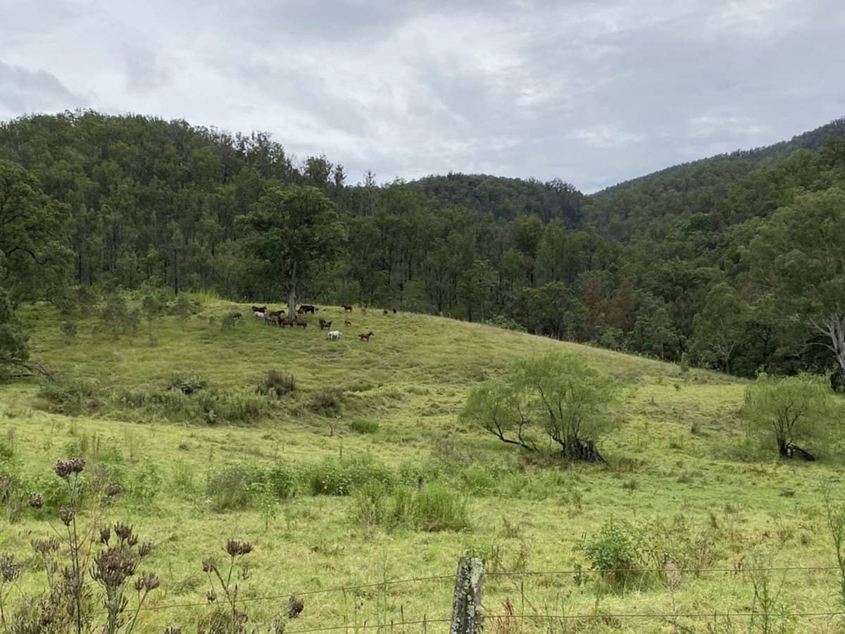 Lots 28 & 52/2685 Enfield Range Road, Cooplacurripa - Thumbnail 3