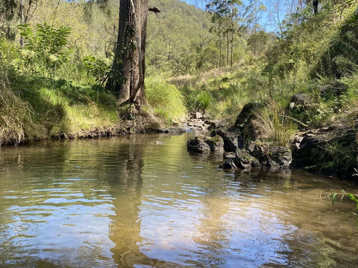 Lots 28 & 52/2685 Enfield Range Road, Cooplacurripa - Thumbnail 7