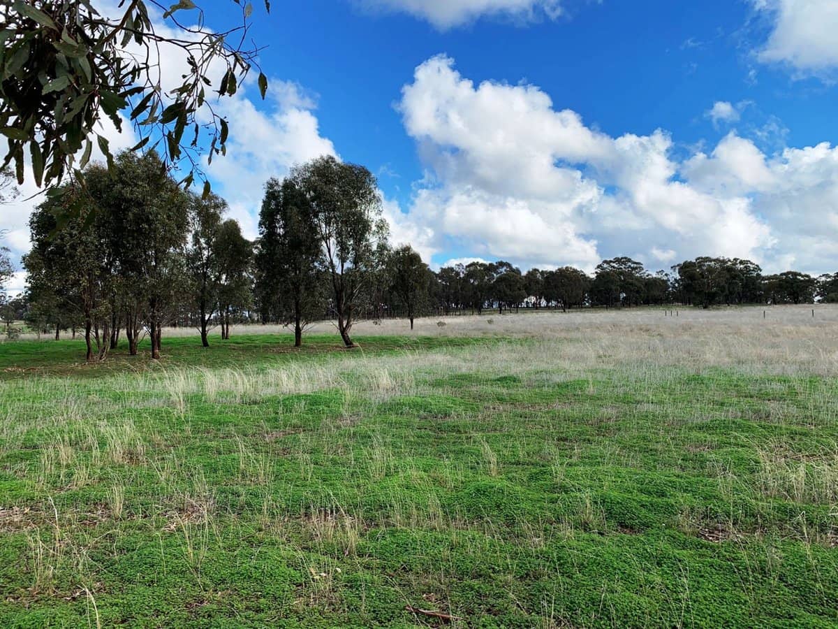 18a Heathcote-Rochester Road, Bonn - Thumbnail 1