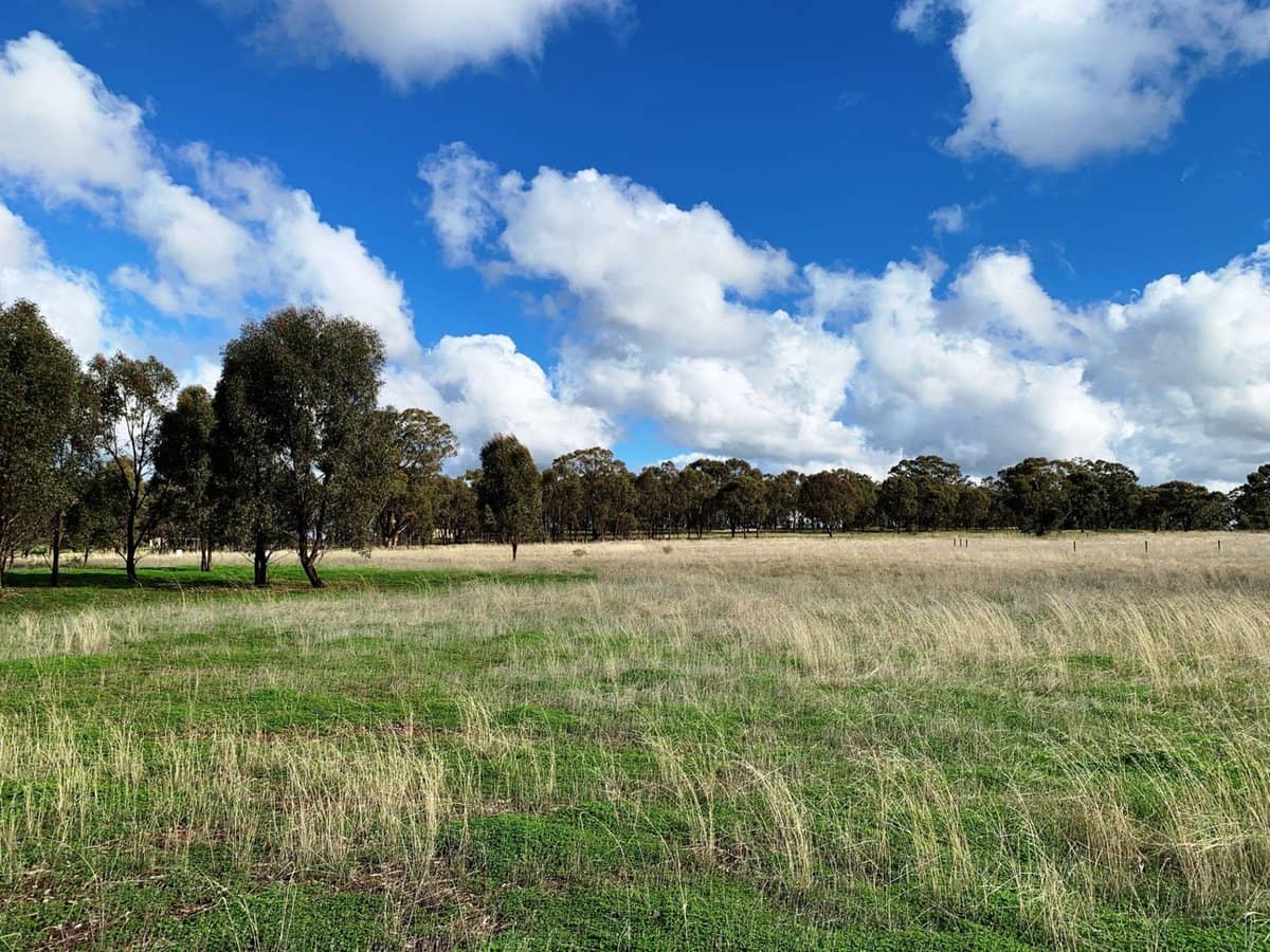 18a Heathcote-Rochester Road, Bonn - Thumbnail 5