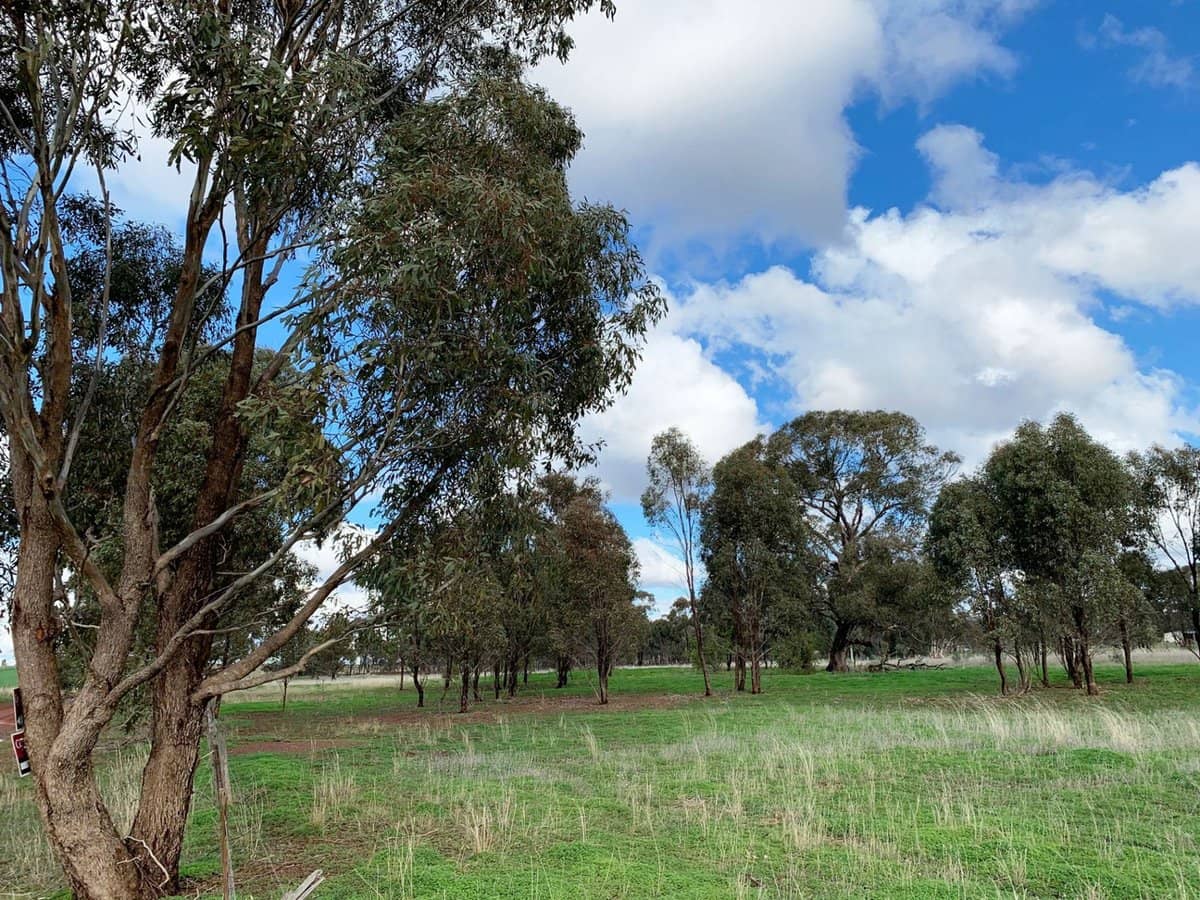 18a Heathcote-Rochester Road, Bonn - Thumbnail 6