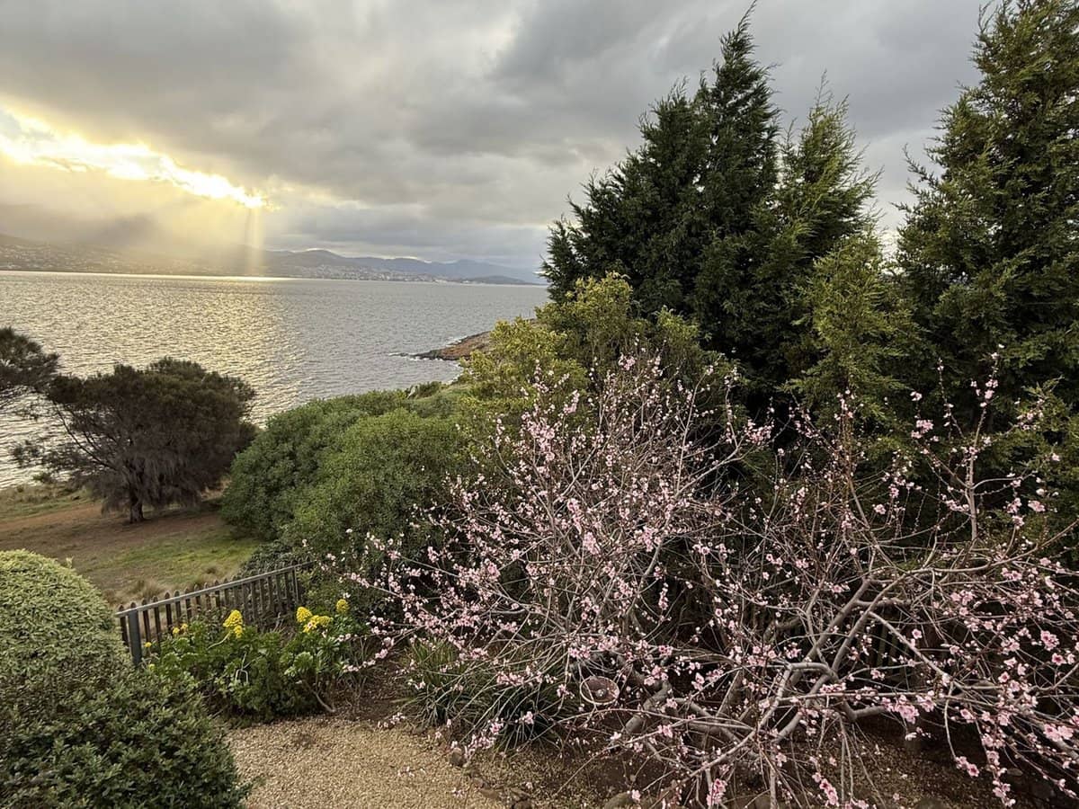 8 Vaughan Court, Tranmere - Thumbnail 32