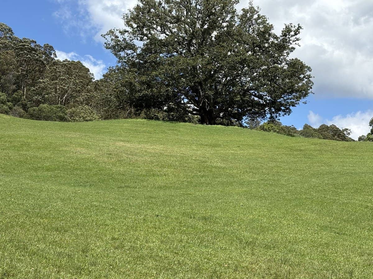 65c Marden Lane, Kangaroo Valley - Thumbnail 12