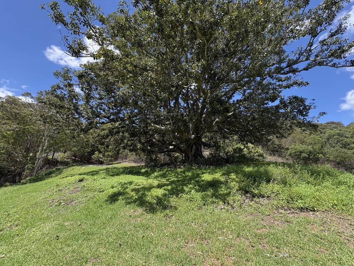 65c Marden Lane, Kangaroo Valley - Thumbnail 14