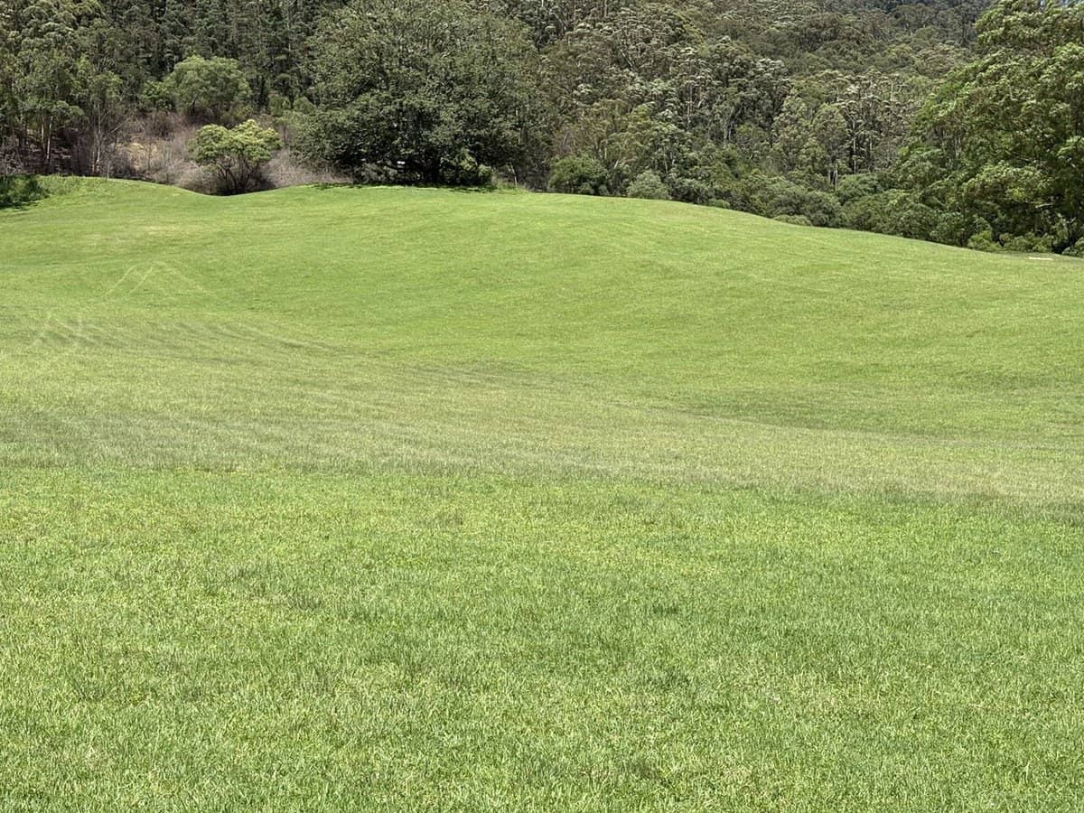 65c Marden Lane, Kangaroo Valley - Thumbnail 16