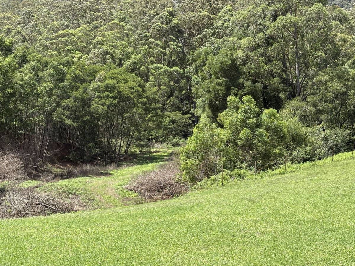 65c Marden Lane, Kangaroo Valley - Thumbnail 25