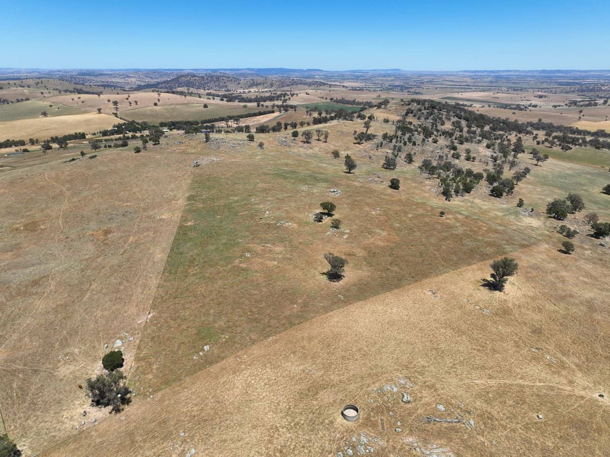 1432 Pine Mount Road, Darbys Falls - Thumbnail 7