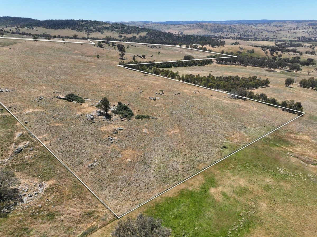 1432 Pine Mount Road, Darbys Falls - Thumbnail 8