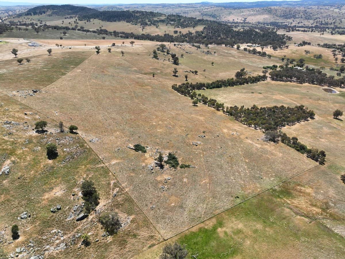 1432 Pine Mount Road, Darbys Falls - Thumbnail 9