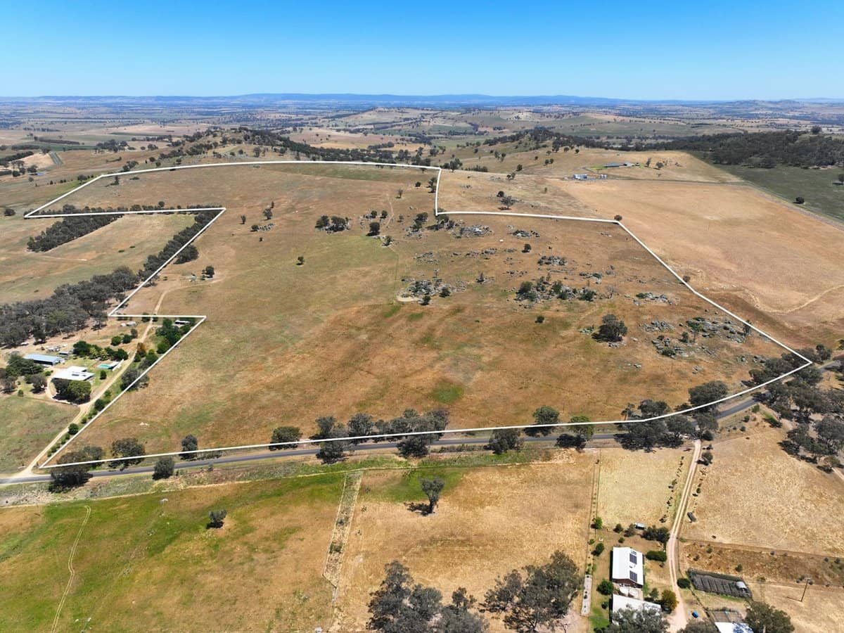 1432 Pine Mount Road, Darbys Falls - Thumbnail 11