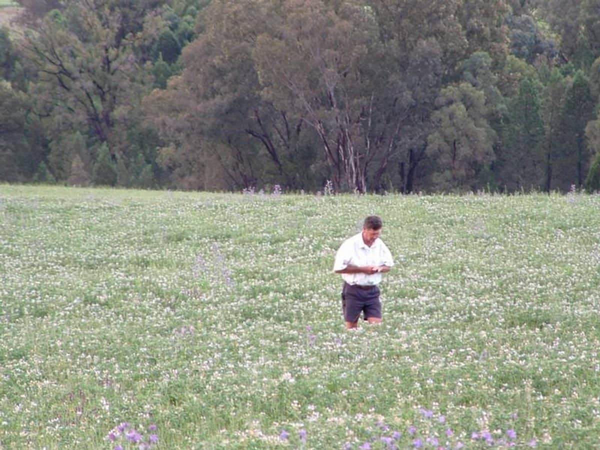 325 Toorawandi Road, Ulamambri - Thumbnail 1