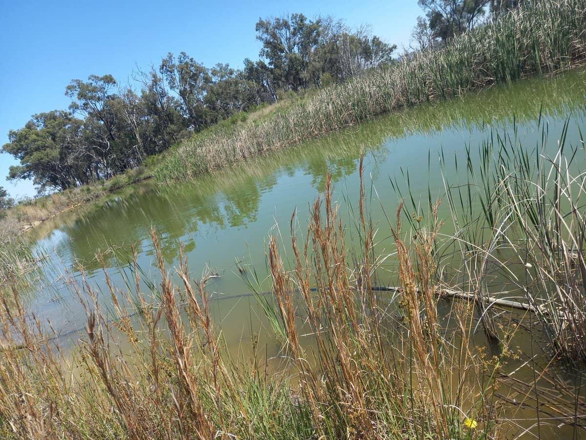 325 Toorawandi Road, Ulamambri - Thumbnail 3