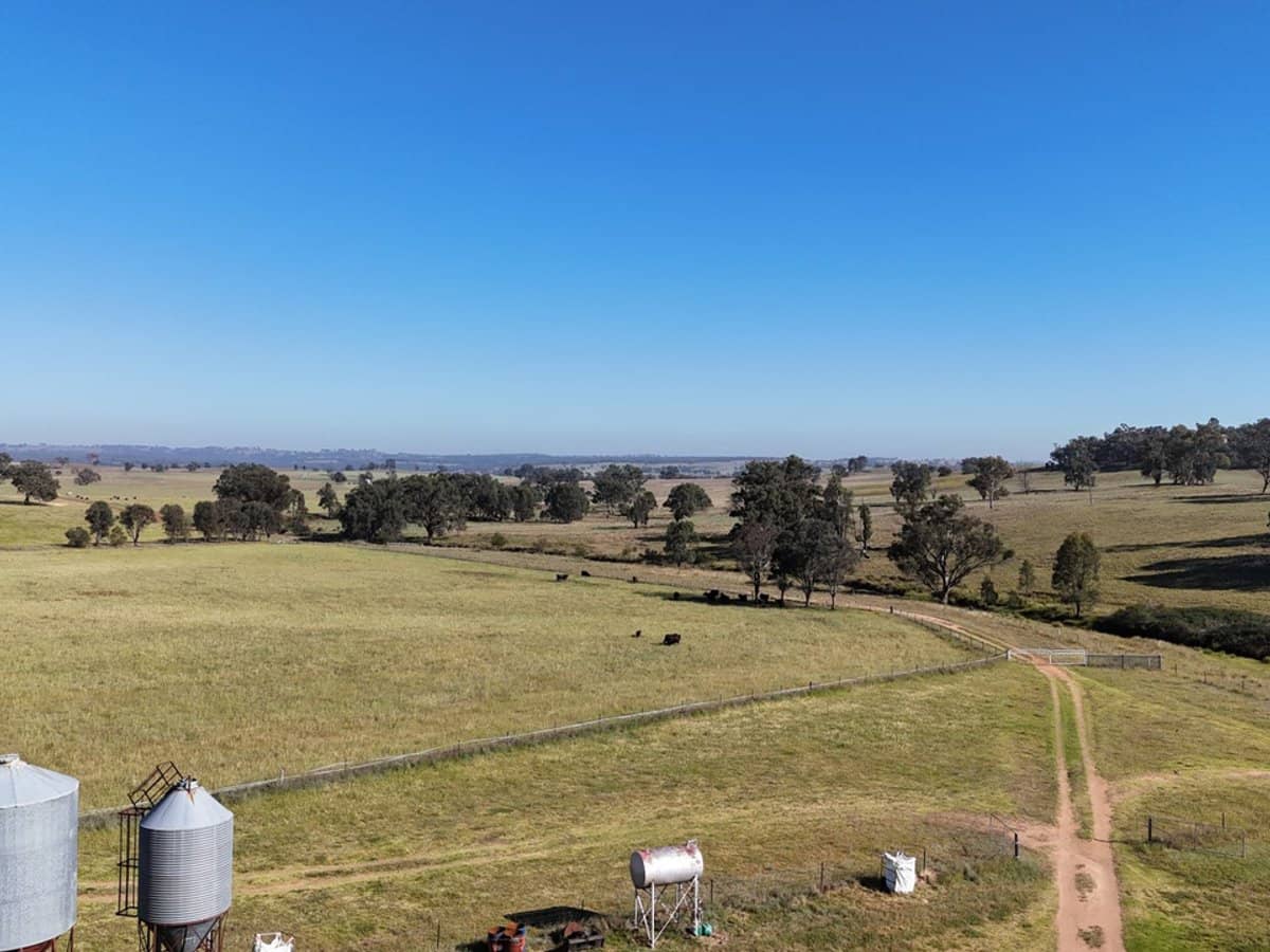 325 Toorawandi Road, Ulamambri - Thumbnail 5