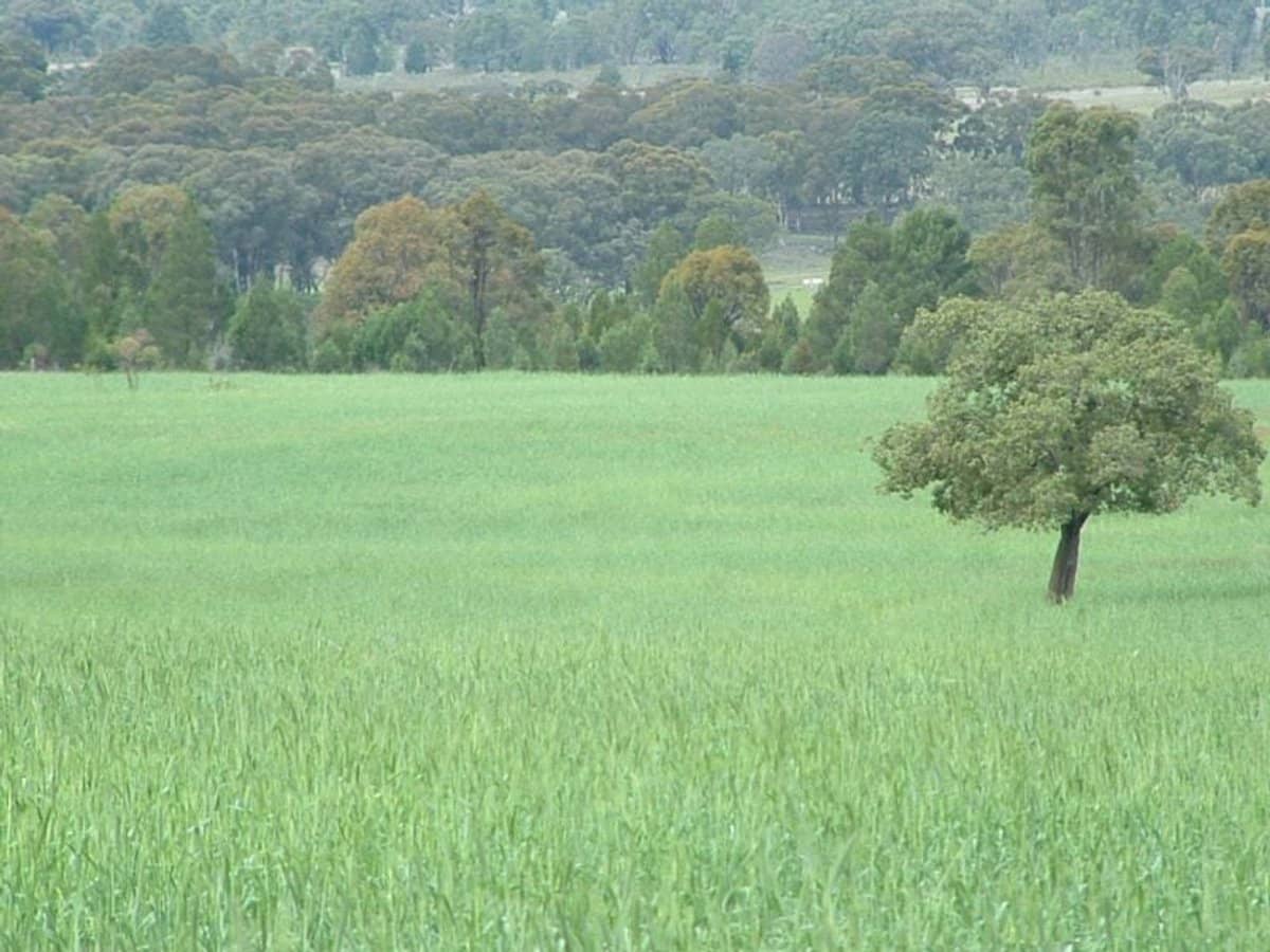 325 Toorawandi Road, Ulamambri - Thumbnail 6