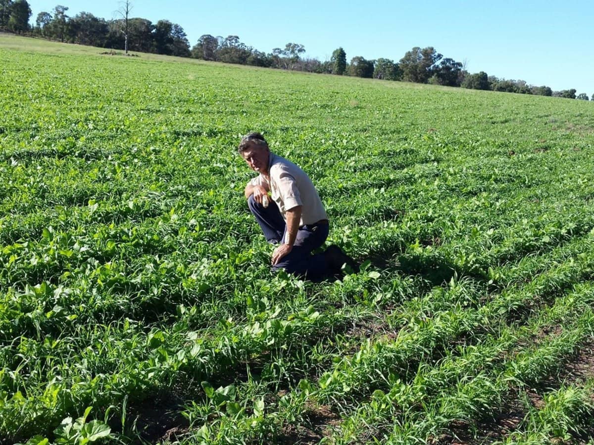 325 Toorawandi Road, Ulamambri - Thumbnail 8