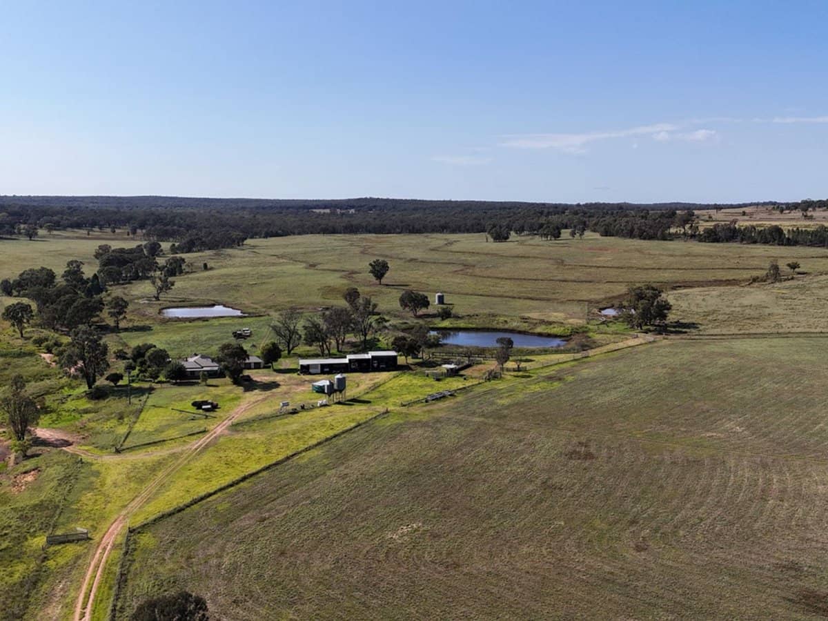 325 Toorawandi Road, Ulamambri - Thumbnail 10