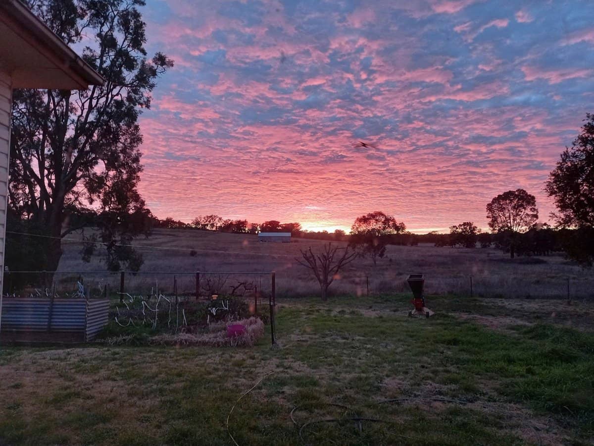 325 Toorawandi Road, Ulamambri - Thumbnail 15