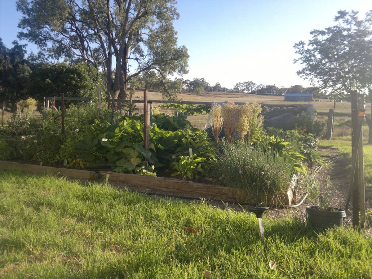 325 Toorawandi Road, Ulamambri - Thumbnail 20