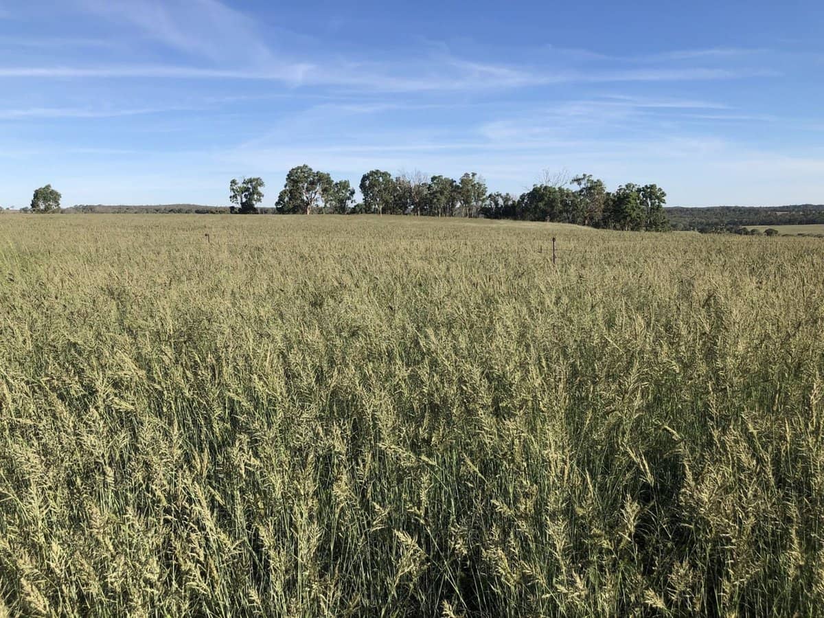 325 Toorawandi Road, Ulamambri - Thumbnail 24