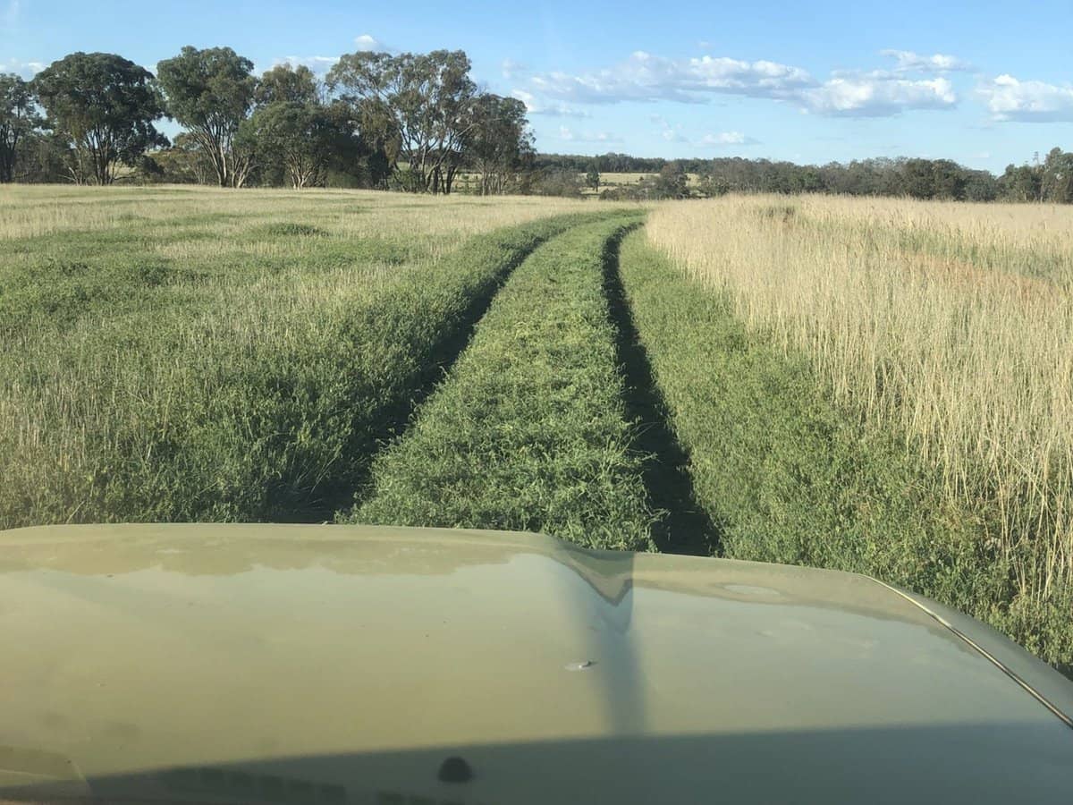 325 Toorawandi Road, Ulamambri - Thumbnail 25