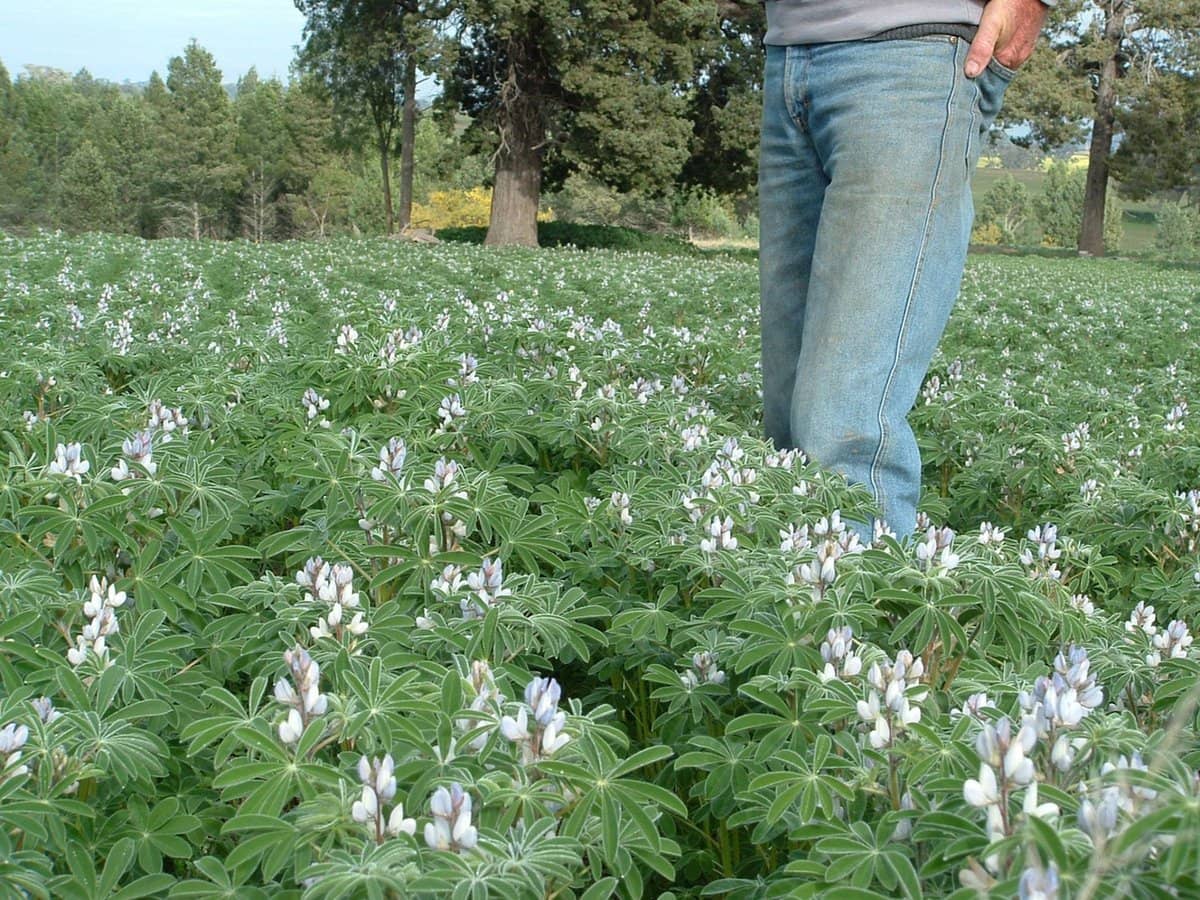 325 Toorawandi Road, Ulamambri - Thumbnail 26