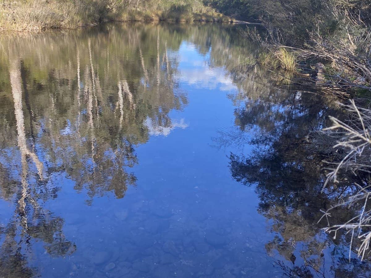 138 Elliot Road, Valencia Creek - Thumbnail 6