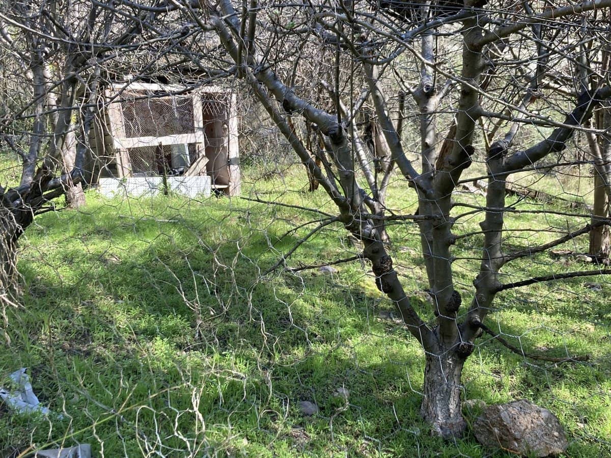 138 Elliot Road, Valencia Creek - Thumbnail 8